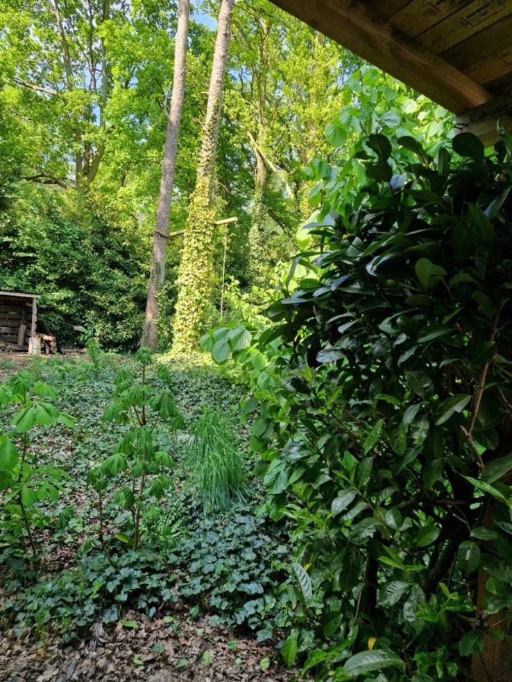 Benb Op De Vleet Vrijstaande Accommodatie Plantage Centrum ภายนอก รูปภาพ